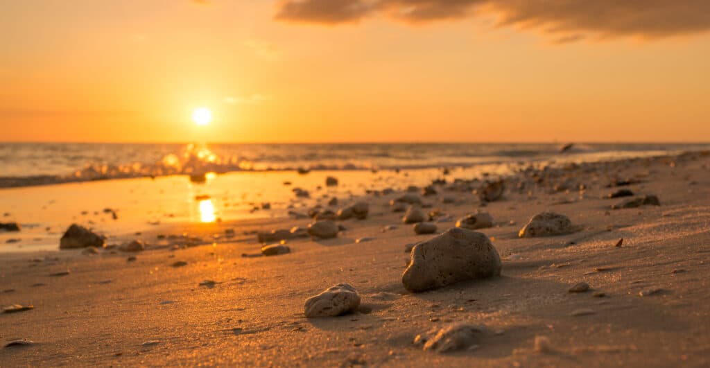 Best Sandbars in Florida for a Perfect Boat Day