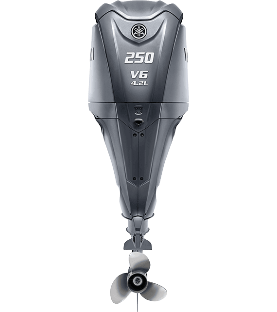 Yamaha F250NCB