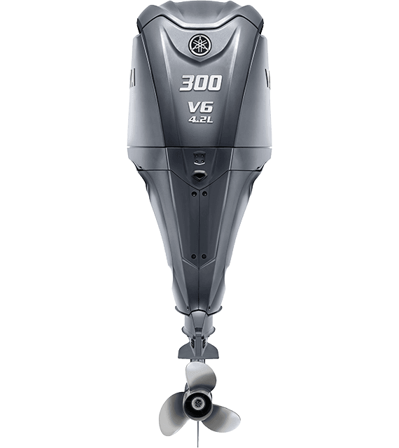 Yamaha F300NCB