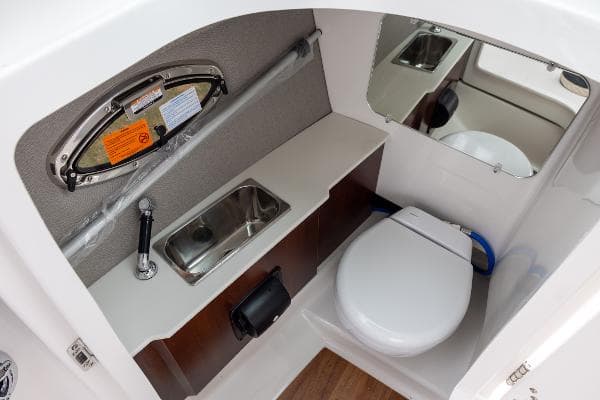 2025 Chaparral 250 OSX — image 15