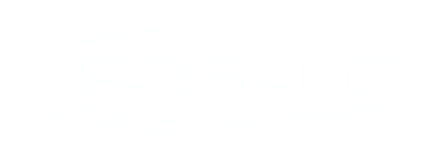 Robalo logo